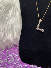 Load image into Gallery viewer, Aja's Initial Necklace